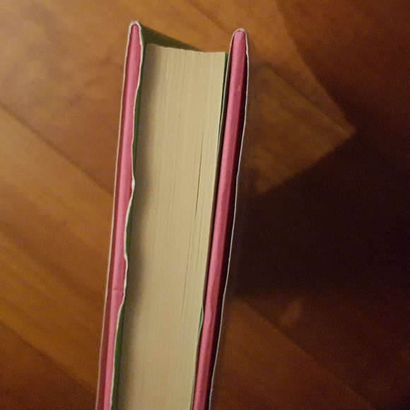 EUC copy of I Know I Am But What Are You? by Samantha Bee - Picture 6 of 6